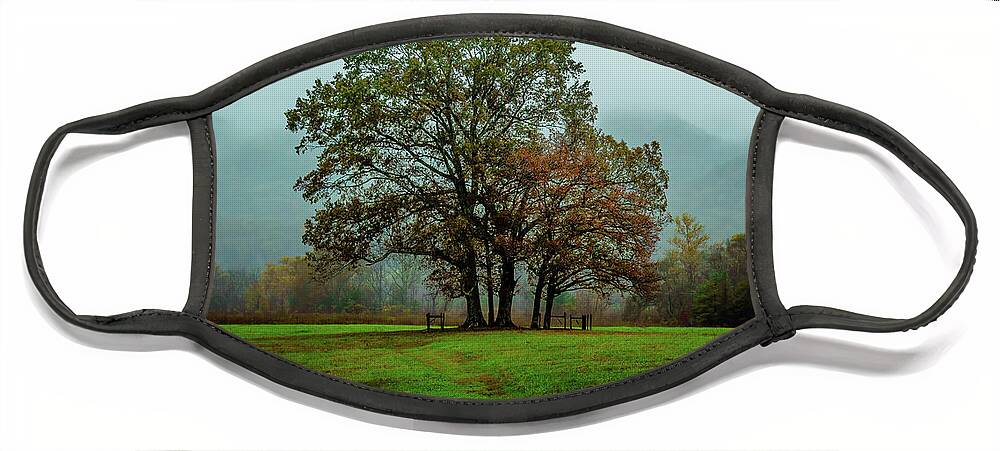 Cade's Cove Face Mask featuring the photograph Standing Tall by Darrell DeRosia