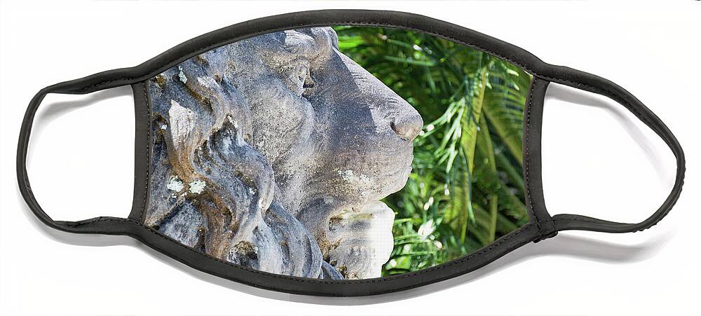 Jekyll Island Face Mask featuring the photograph Stately Lion on Jekyll Island by Bruce Gourley