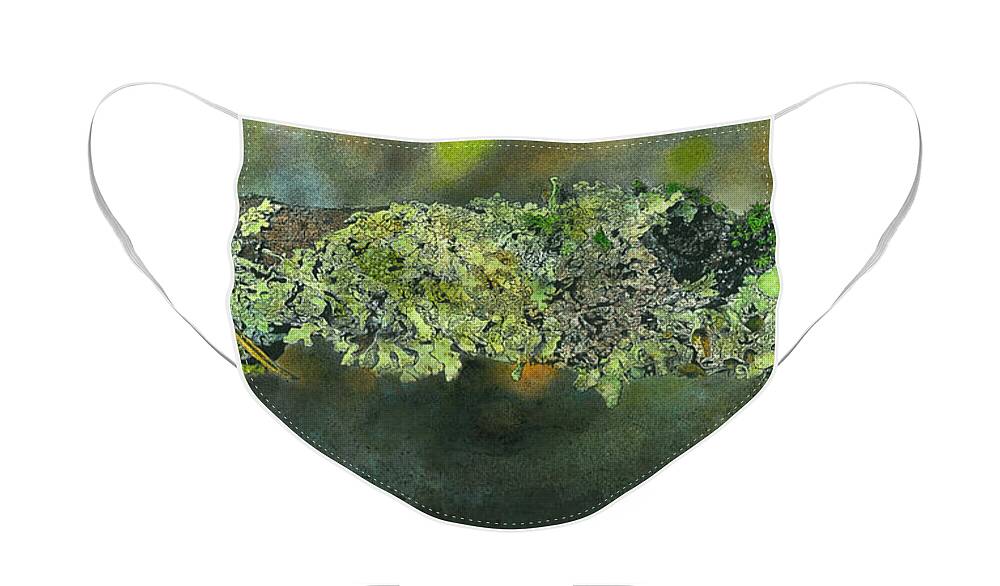 Nature Face Mask featuring the mixed media Stick Covered With Lichen by John Dyess