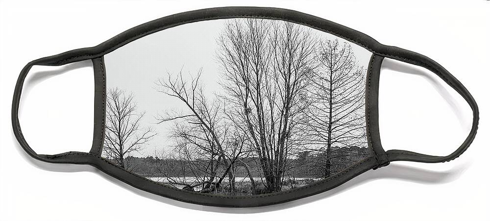 Leaf Face Mask featuring the photograph Still Trees 2 by Rick Nelson