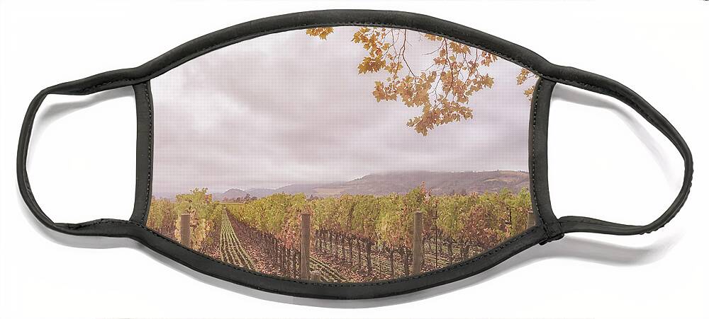 Season Face Mask featuring the photograph Storm Over Vines by Jonathan Nguyen