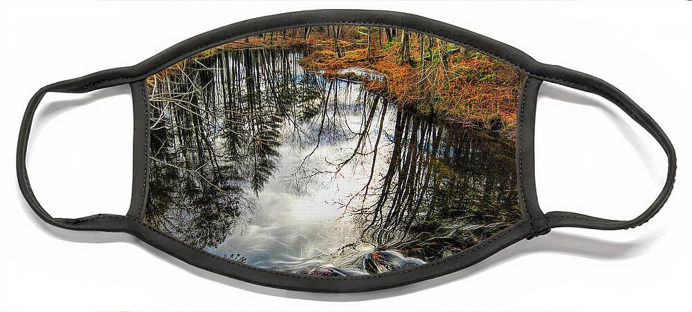 Stream Face Mask featuring the photograph Stream in Granby by Cordia Murphy