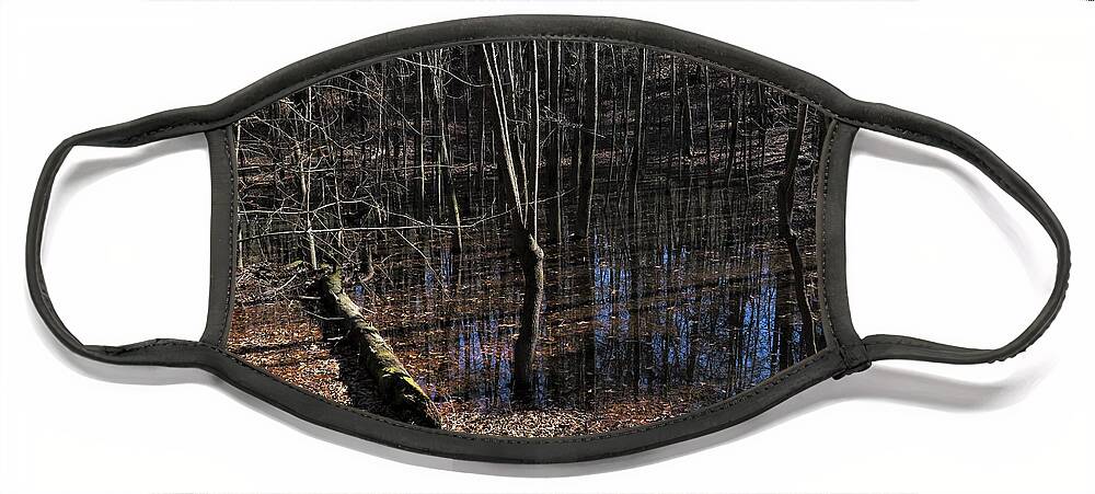 Swamp Face Mask featuring the photograph Striped Swamp by Ed Williams