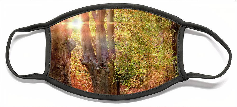 Autumn Face Mask featuring the photograph Stunning autumn forest road at sunrise in Norfolk by Simon Bratt