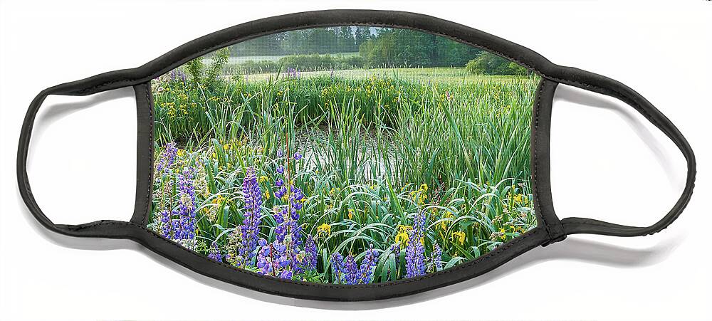 America Face Mask featuring the photograph Summer Blossoms by Susan Cole Kelly