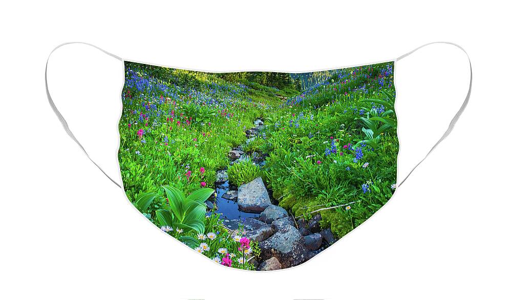 America Face Mask featuring the photograph Summer Creek by Inge Johnsson