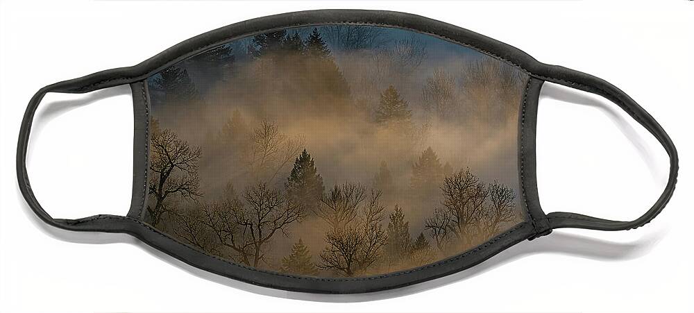 Fog Face Mask featuring the photograph Sun, fog and trees at sunrise. by Ulrich Burkhalter