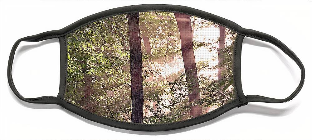 Trees Face Mask featuring the digital art Sun Rays in Virginia by Nancy Olivia Hoffmann