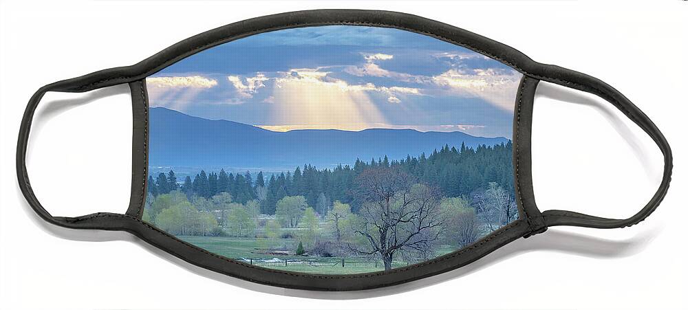 Sunbeam Face Mask featuring the photograph Sunbeam Meadow by Randy Robbins