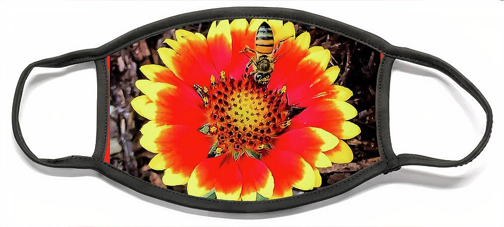 Sunflower Face Mask featuring the photograph Sunflower bee by Barry Bohn
