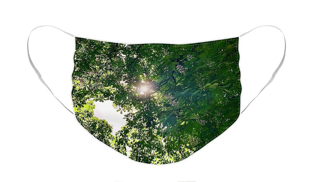 Sunlight Face Mask featuring the photograph Sunlight Canopy by Gordon James