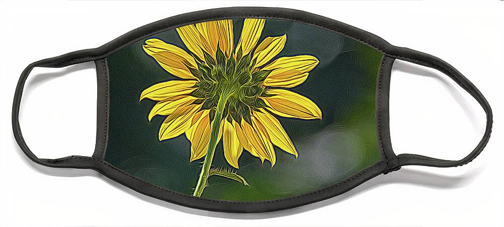 Bloom Face Mask featuring the photograph Sunny Sunflower Following the Sun With Enhancements by Debra Martz