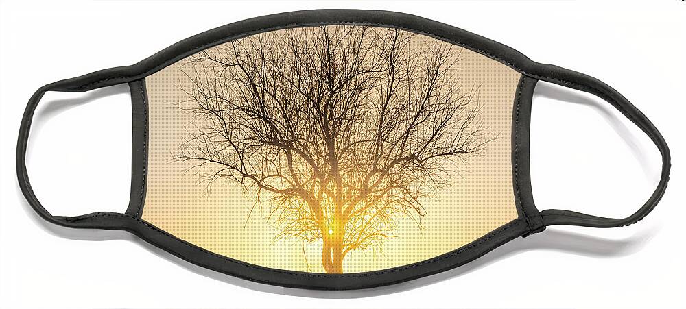 Sunrise Face Mask featuring the photograph Sunrise Through The Tree Cold Winter Morning Tupelo Mississippi by Jordan Hill