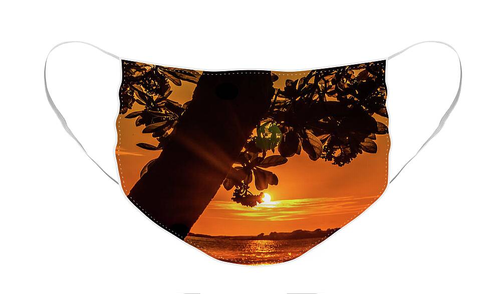 Hawaii Face Mask featuring the photograph Sunset at the Tree by John Bauer