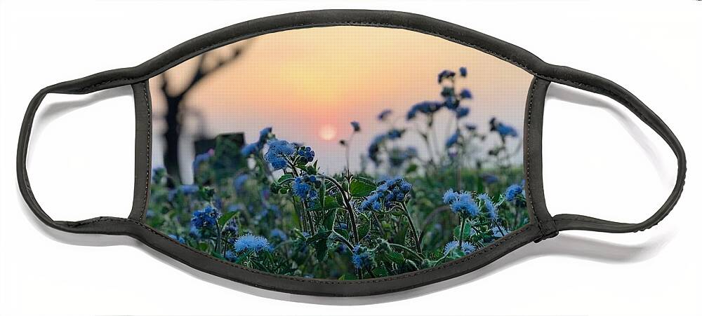 Flowers Face Mask featuring the photograph Sunset Behind Flowers by Prashant Dalal