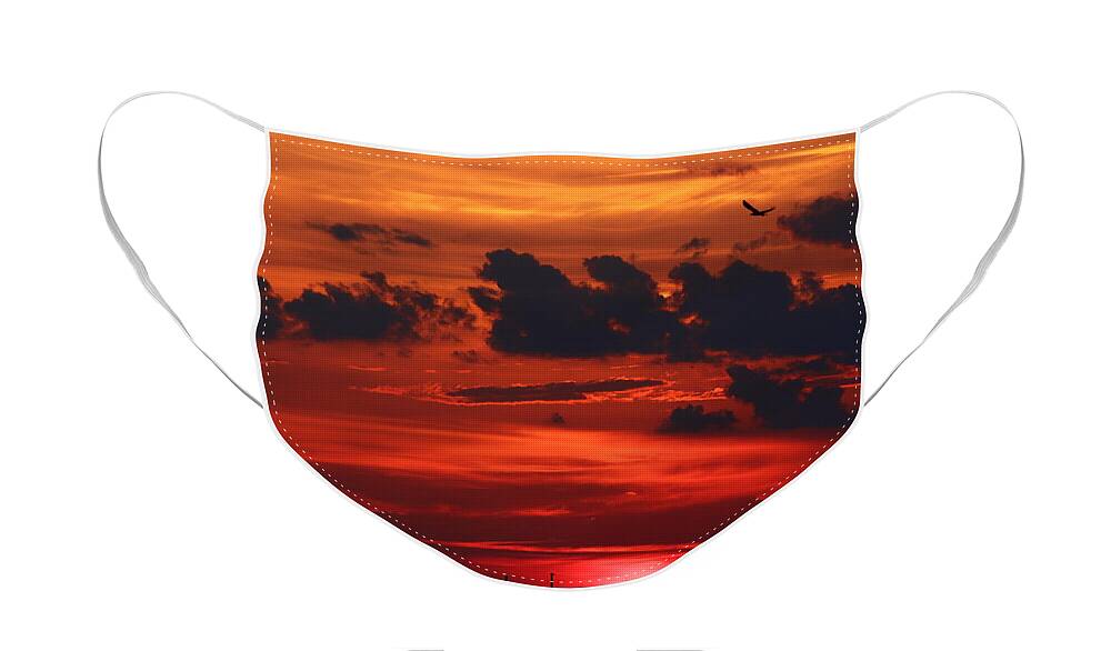 Osprey Face Mask featuring the photograph Sunset Flight of the Osprey by Tony Lee