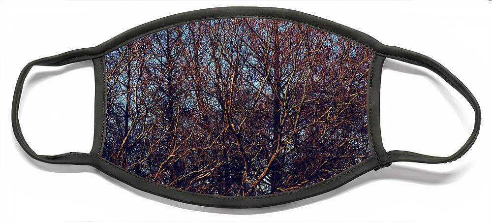 Nature Face Mask featuring the photograph Sunset on the Woods by Frank J Casella