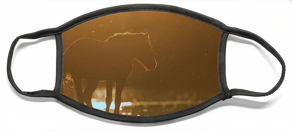 Silhouette Face Mask featuring the photograph Sunset by Shannon Hastings