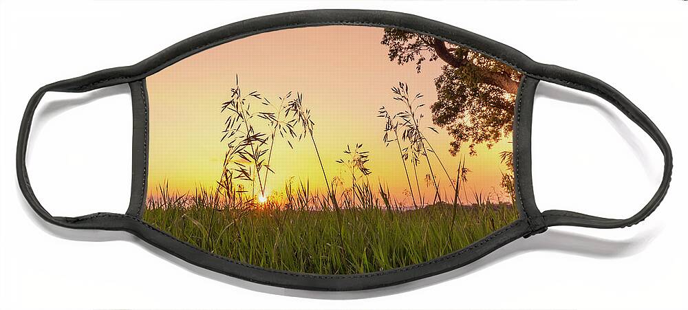 Trexler Face Mask featuring the photograph Sunset Through the High Grass by Jason Fink