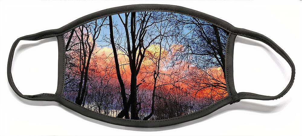 Nature Face Mask featuring the photograph Sunset Through the Woods by Ally White