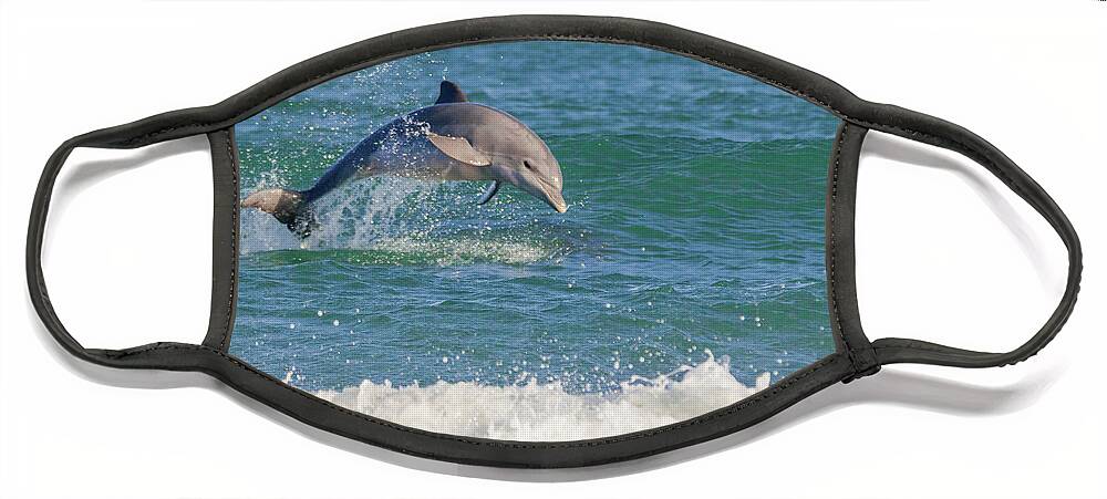 Dolphin Face Mask featuring the photograph Surf Dolphin by Bradford Martin