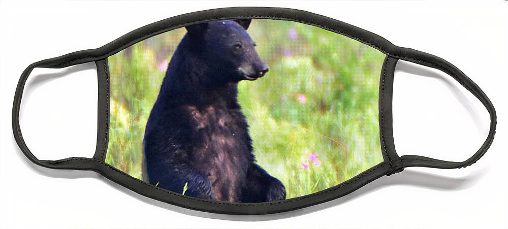 Bear Face Mask featuring the photograph Swamp Bear by Ed Stokes
