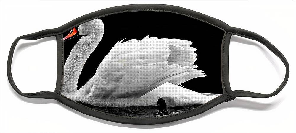 Swan Face Mask featuring the photograph Swan Elegance by Nancy Ayanna Wyatt