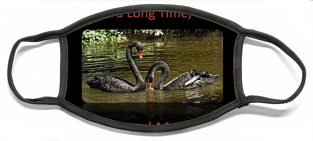 Swans Face Mask featuring the photograph Swans Soulmates by Nancy Ayanna Wyatt