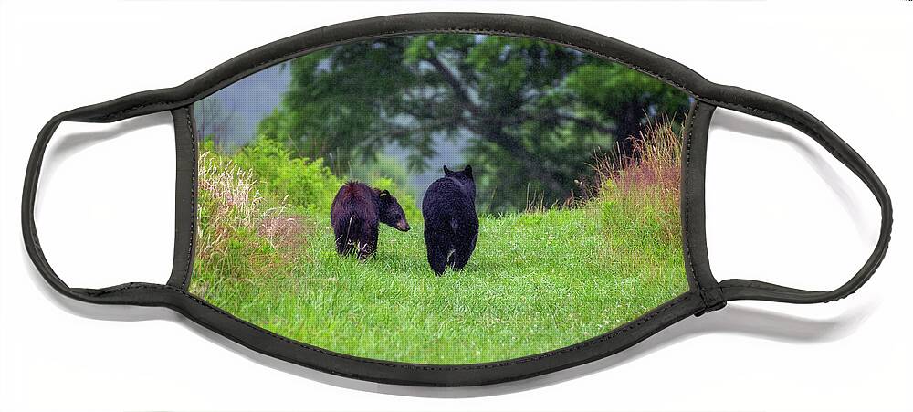 Great Smoky Mountains National Park Face Mask featuring the photograph Sweet Black Bear Couple by Robert J Wagner