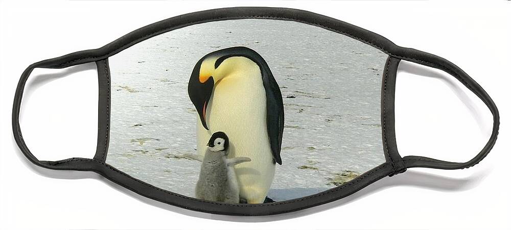 Penguins Face Mask featuring the photograph Sweet Penguins by Nancy Ayanna Wyatt