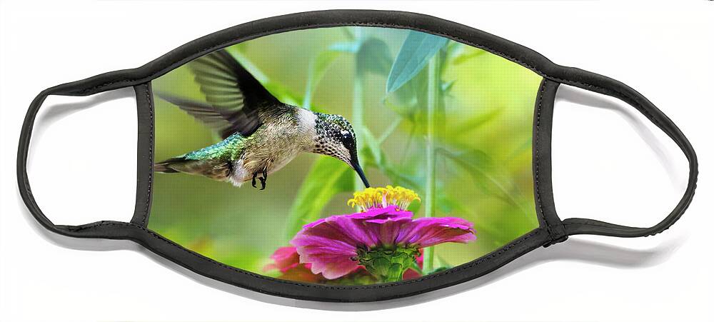 Hummingbird Face Mask featuring the photograph Sweet Success by Christina Rollo