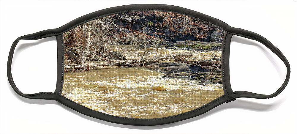 Sweetwater Creek State Park Face Mask featuring the photograph Sweetwater Creek Rolling by Ed Williams