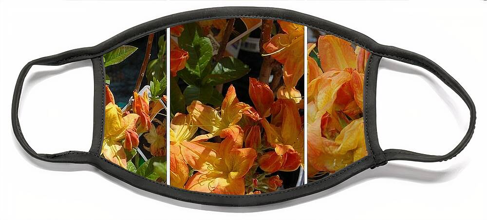 Rhododendron Face Mask featuring the photograph Tangerine Rhododendron by Nancy Ayanna Wyatt