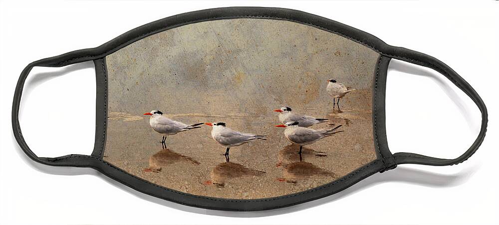 Tern Face Mask featuring the photograph Tern Beach Meeting by Denise Strahm
