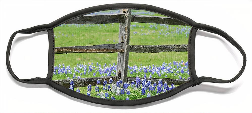 Ennis Face Mask featuring the photograph Texas Bluebonnets Along Fence Line by Robert Bellomy