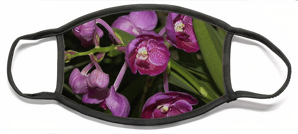 Orchid Face Mask featuring the photograph Textured Orchid Flowers by Mingming Jiang