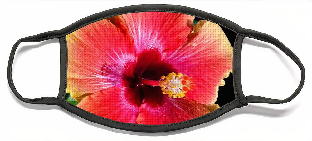 Flowers Face Mask featuring the photograph Thanksgiving Hibiscus by John Anderson