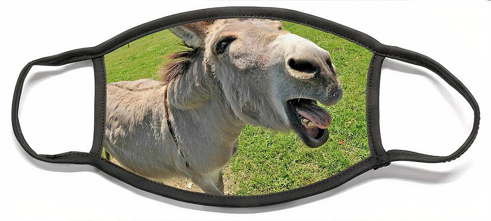 Donkey Face Mask featuring the photograph That Is The Damnedest Thing I Have Ever Heard by Robert Dann