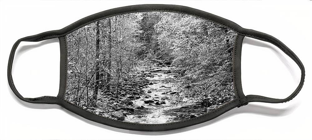 Carolina Face Mask featuring the photograph The Call of the Forest II in Black and White by Debra and Dave Vanderlaan