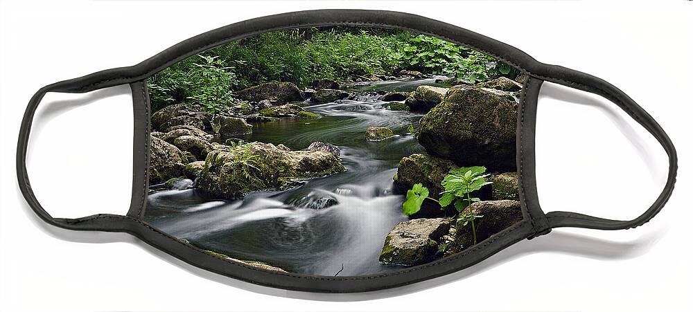 Wasser Face Mask featuring the photograph The Creek by Thomas Schroeder