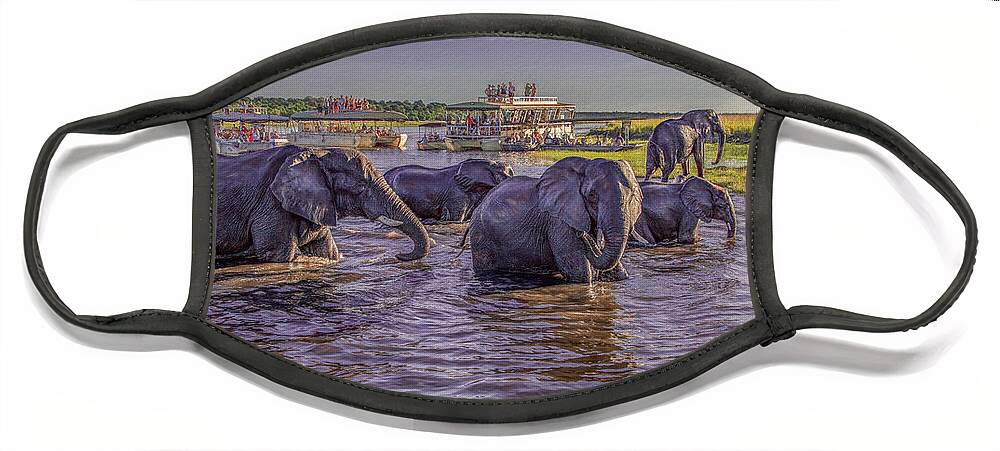 Chobe National Park Face Mask featuring the photograph The Crossing by Marcy Wielfaert