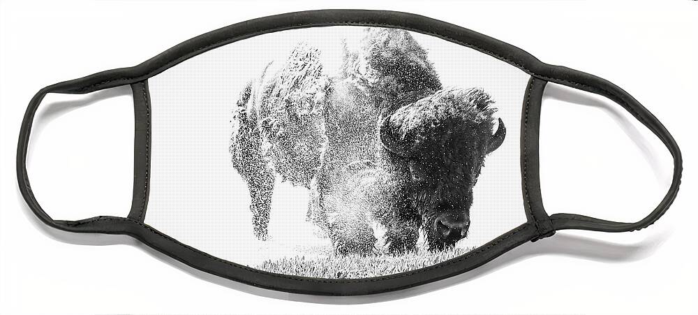 The Final Bison Face Mask featuring the photograph The Final Bison by Dan Sproul