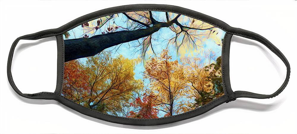 Clouds Face Mask featuring the photograph The Forest's Embrace Painting by Debra and Dave Vanderlaan