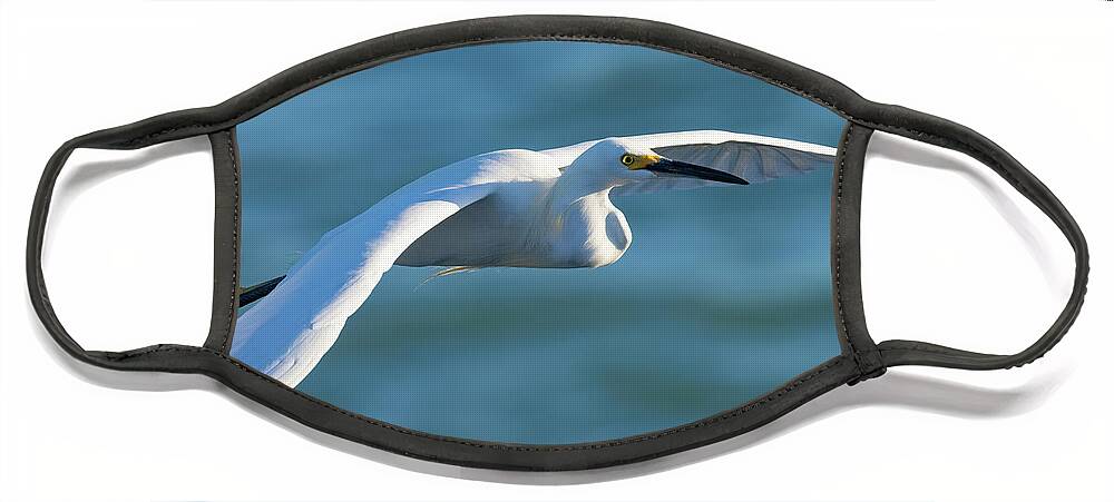 Snowy Egret Face Mask featuring the photograph The Glideslope by RD Allen