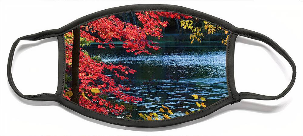 Fall Foliage Face Mask featuring the photograph The Glory of a New England Autumn by Anita Pollak