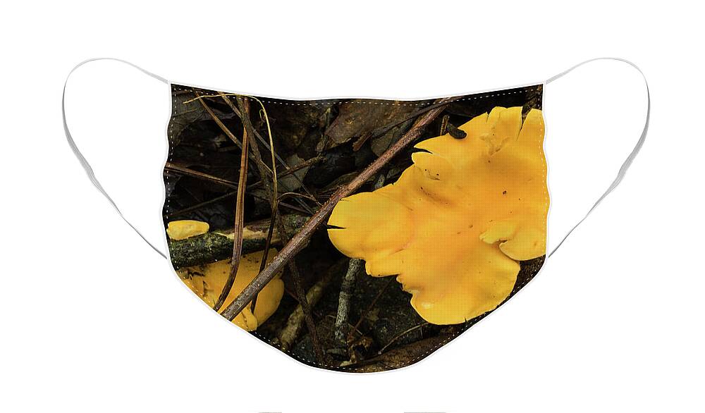 Mcdowell County Face Mask featuring the photograph The Golden Mushroom by Joni Eskridge