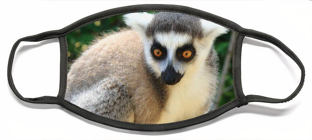 Animals Face Mask featuring the photograph The Lemur by Robert McKinstry