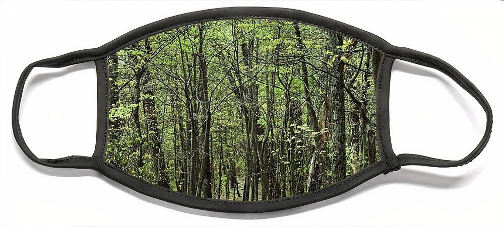 Forest Face Mask featuring the photograph The Magic Forest by Roberta Byram