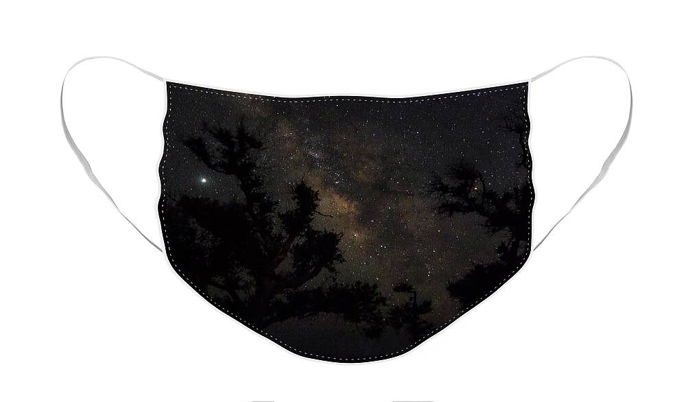 Milky Way Face Mask featuring the photograph The Milky Way and Tree Silhouettes by Bob Decker