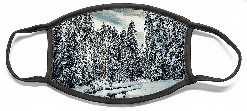 Natural Beauty Face Mask featuring the photograph The Natural Path - River Through the Snowy Forest by Benoit Bruchez